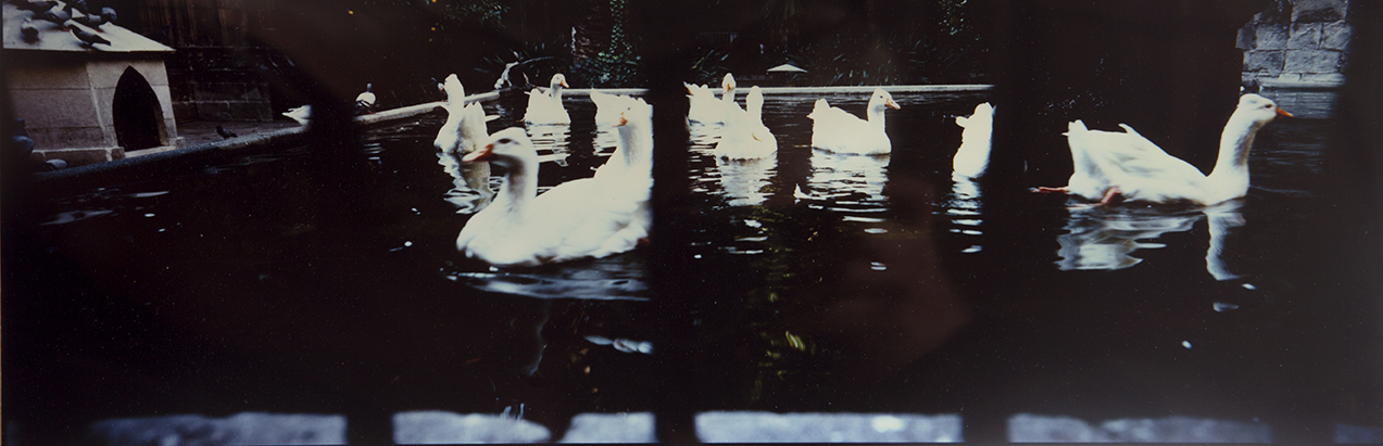 Park in Barcelona, Spain.1989