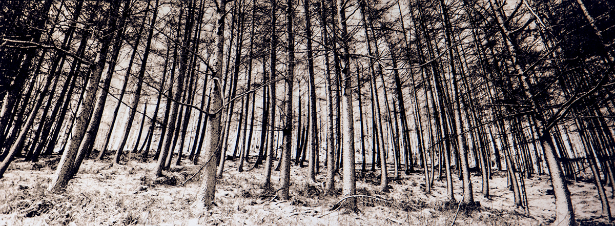 Snowdonia National Park. Wales. 2003